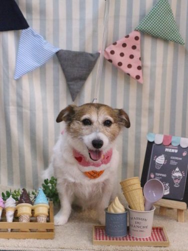 20250515こはるちゃん